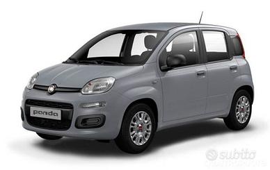 Fiat Panda GPL - 2017 IN ARRIVO