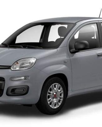 Fiat Panda GPL - 2017 IN ARRIVO