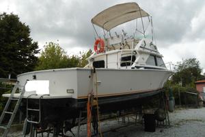 BERTRAM 28 TURBO LINEA D'ASSE