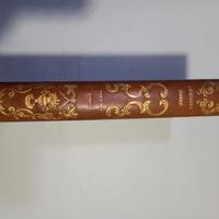 Raro Libro 1841 Viaggio in RUSSIA e CRIMEA - Ill