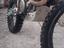 Immagine 4