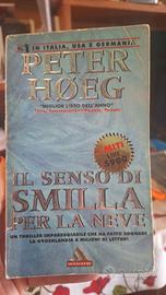 Il senso di Smilla per la neve