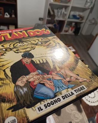40 DYLAN DOG FUMETTI COLLEZIONE COMPLETA BOOK