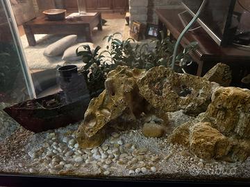 Acquario 500l