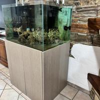 Acquario marini professionale