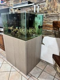 Acquario marini professionale