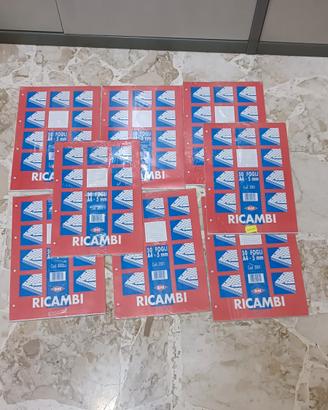 Lotto fogli A4 per raccoglitore e sfusi scuola 