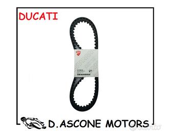 COPPIA CINGHIE ORIGINALI DUCATI ( DENTI TONDI ) 69