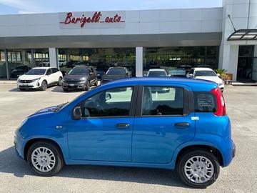 Fiat Panda Pandina 1.0 FireFly 65 CV Hybrid Icon