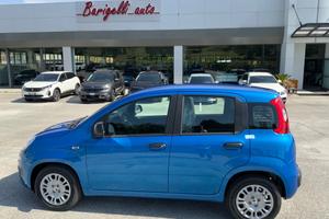Fiat Panda Pandina 1.0 FireFly 65 CV Hybrid Icon