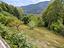 Immagine 28