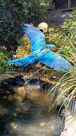 Femmina ara blu e giallo