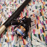 canna bolognese shimano