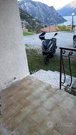 Honda pcx 2019