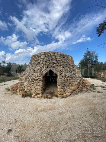 Terreno Agricolo Sannicola [Cod. rif 3179791VRG]