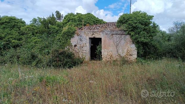 Monti di mannu terreno panoramico con rudere