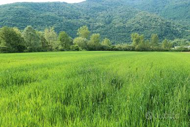 Terreno agricolo mq 11.400