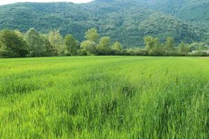 Terreno agricolo mq 11.400