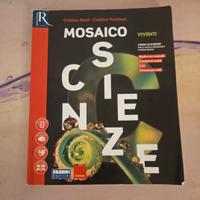 mosaico scienze 