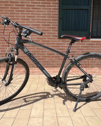 Bici trekking Lomardo Amantea 100