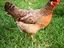 Immagine 6