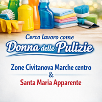 Pulizie domestiche