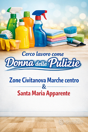 Pulizie domestiche
