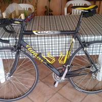 Willer Triestina, modello Escape 2002