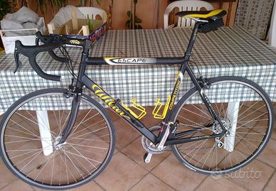 Willer Triestina, modello Escape 2002