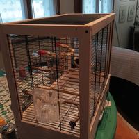 gabbia per inseparabili o simili