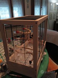 gabbia per inseparabili o simili