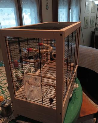 gabbia per inseparabili o simili