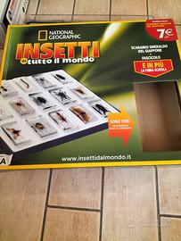 Insetti da collezione