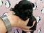 Immagine 6