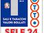 Immagine 7