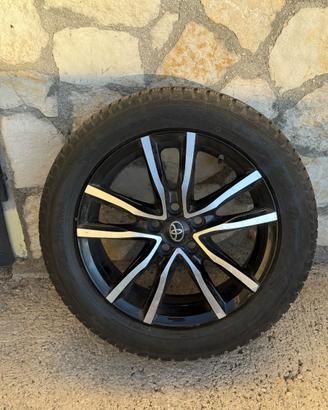 195/55 r16 con cerchio