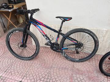 Mountainbike