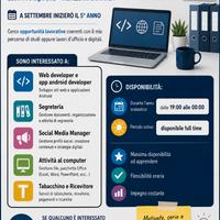 Disponibilità per lavoro