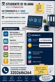 Disponibilità per lavoro