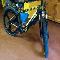 bici pedalata assistita