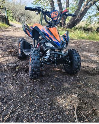 mini quad 50 