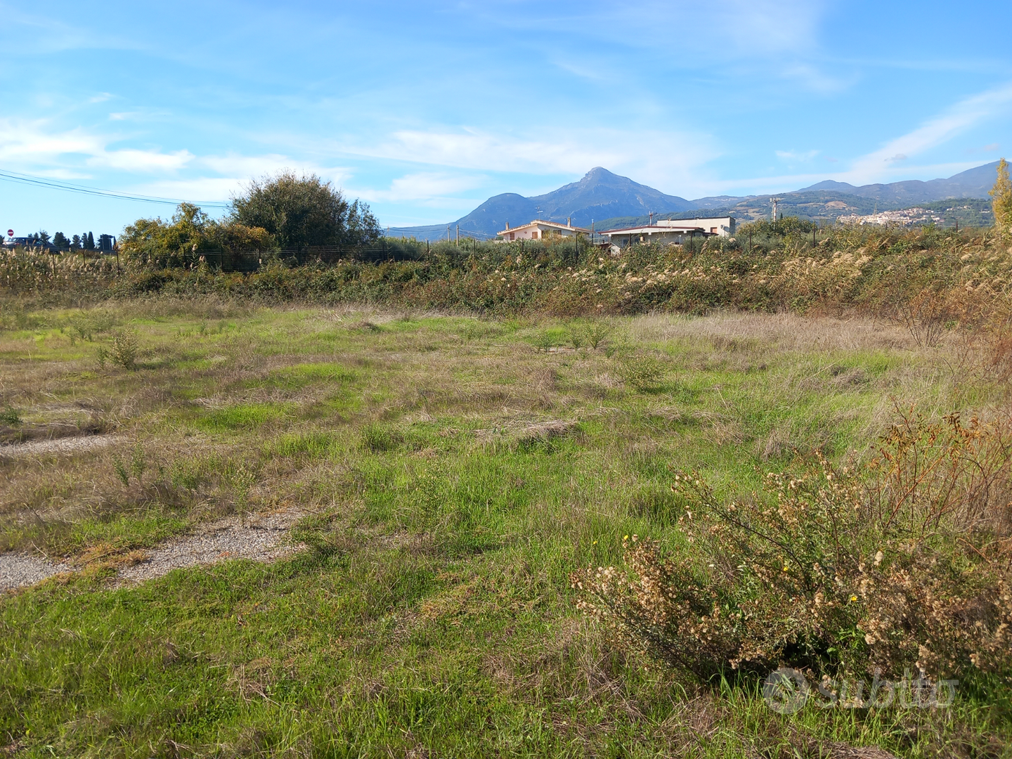Terreno più capannone - Vista 5