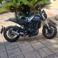 BENELLI LEONCINO 500