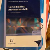 Manuale di diritto processuale civile