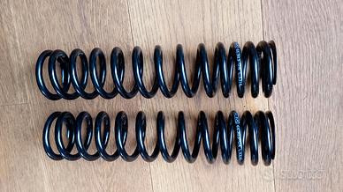 Molle ohlins nere Thruxton 1200 r