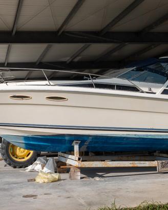 SEA RAY 300 – MERCRUISER – € 24.900