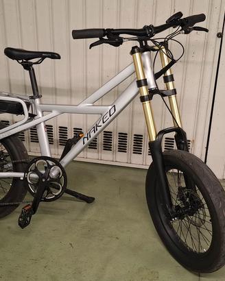 bici elettrica