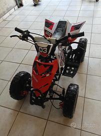 Mini Quad 
