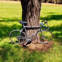 Bici da corsa Legnano Vintage