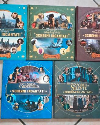 libri harry potter schermi incantati